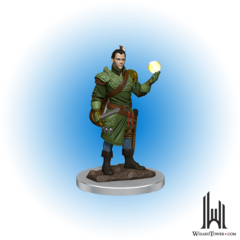 D&D Premium Figures: Male Half-Elf Bard